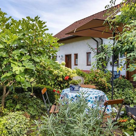 Ferienwohnung Alina Зинген Екстериор снимка