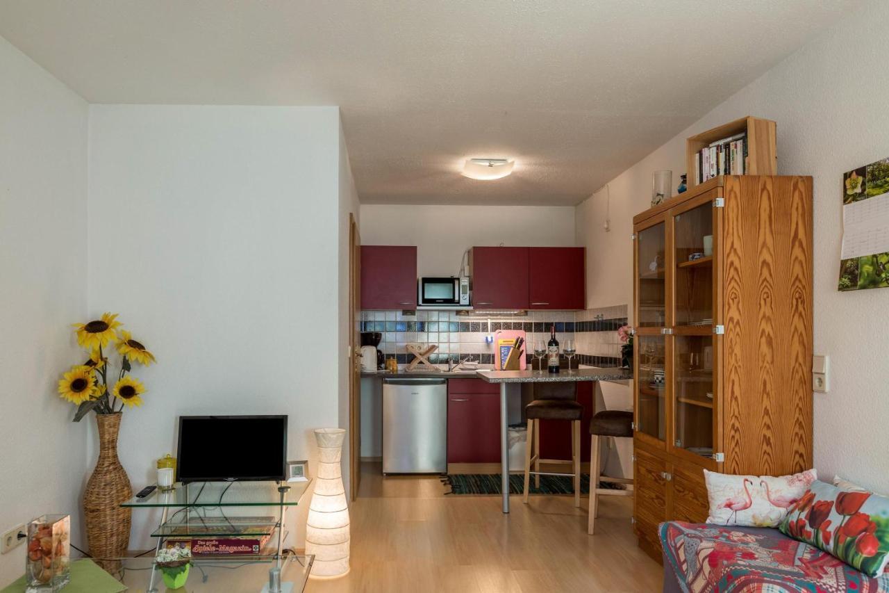 Ferienwohnung Alina Зинген Екстериор снимка