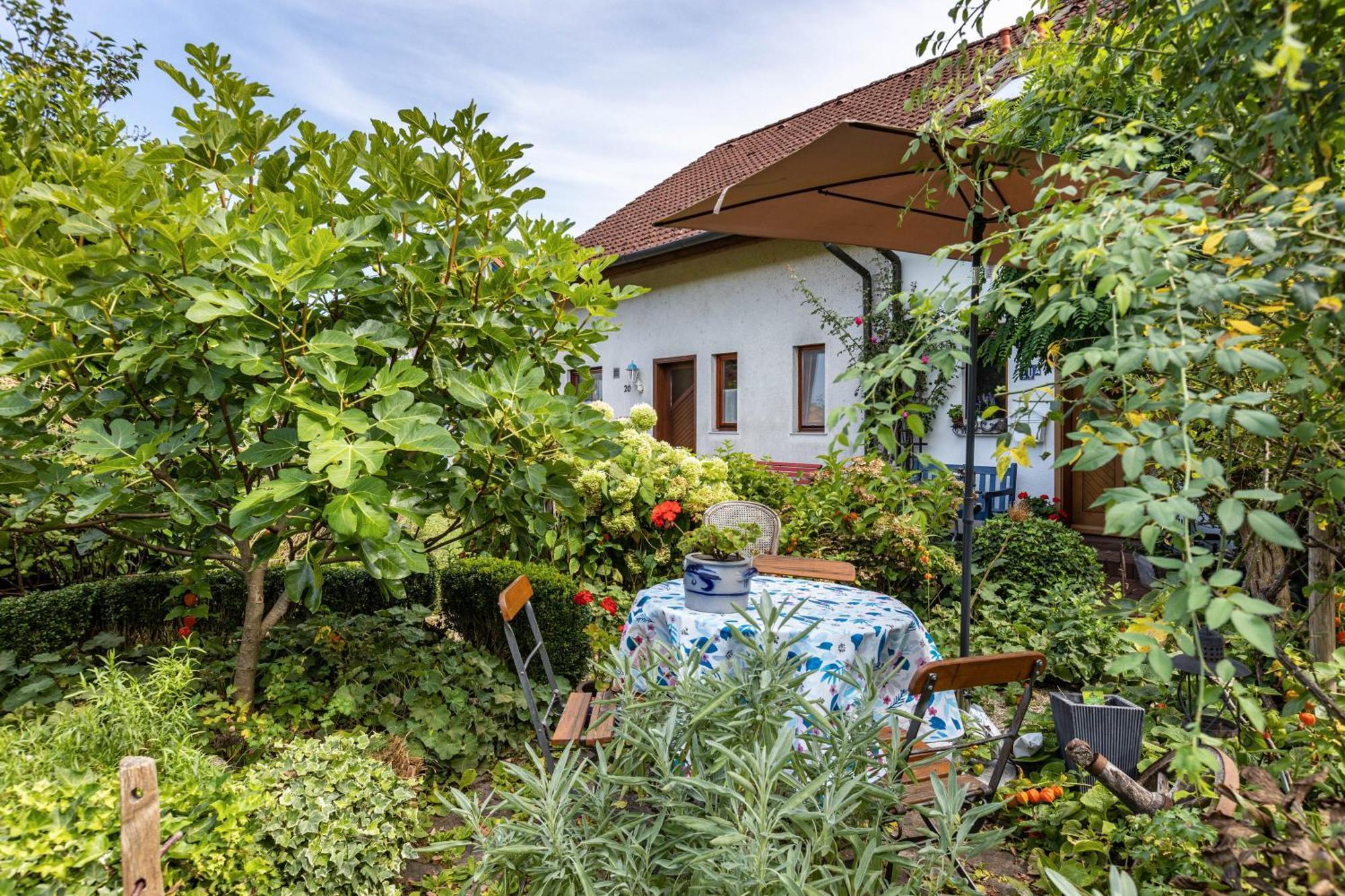 Ferienwohnung Alina Зинген Екстериор снимка